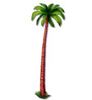 palm tree