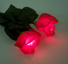 lighted roses