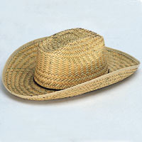 straw cowboy hat