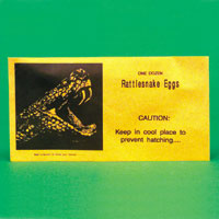 rattlesnake egg