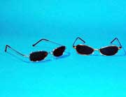 franklin sunglasses
